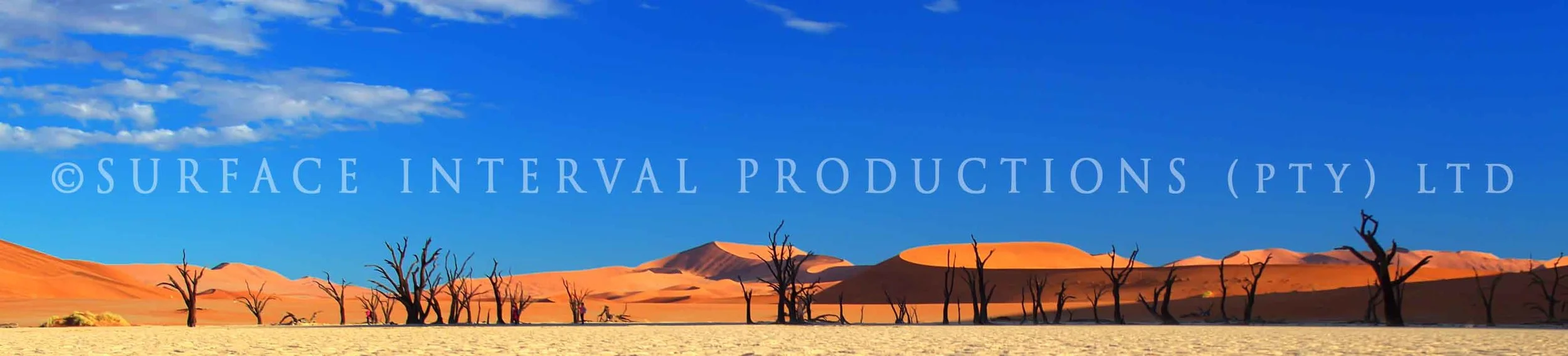 Banner 17.jpg