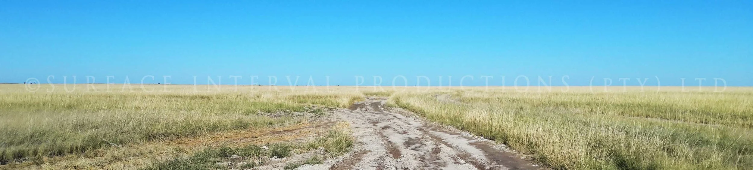 Road 14.jpg