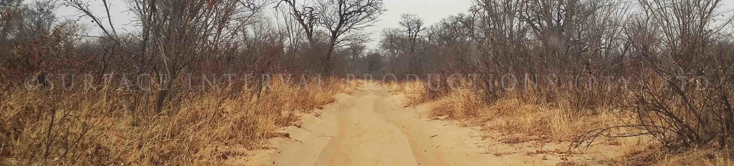 Road 31.jpg
