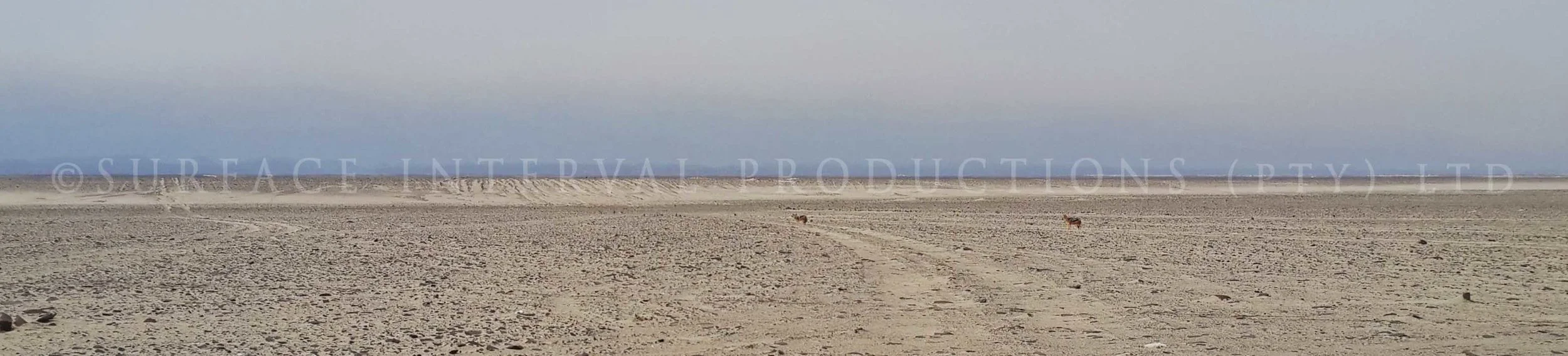 Road 33.jpg