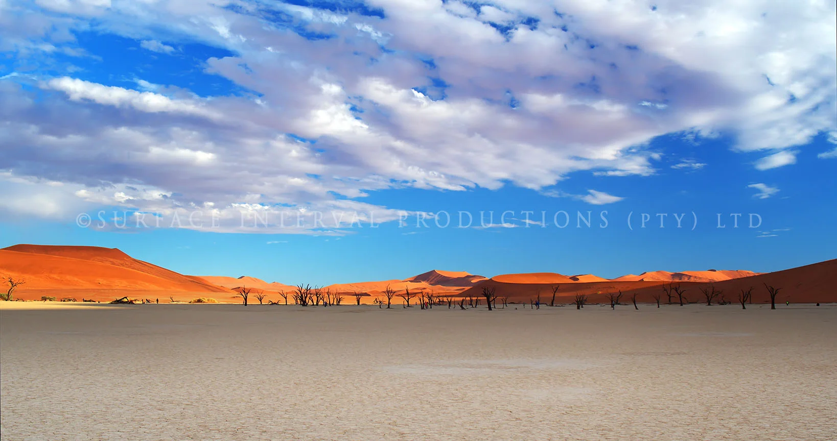 Namib Desert 17.jpg
