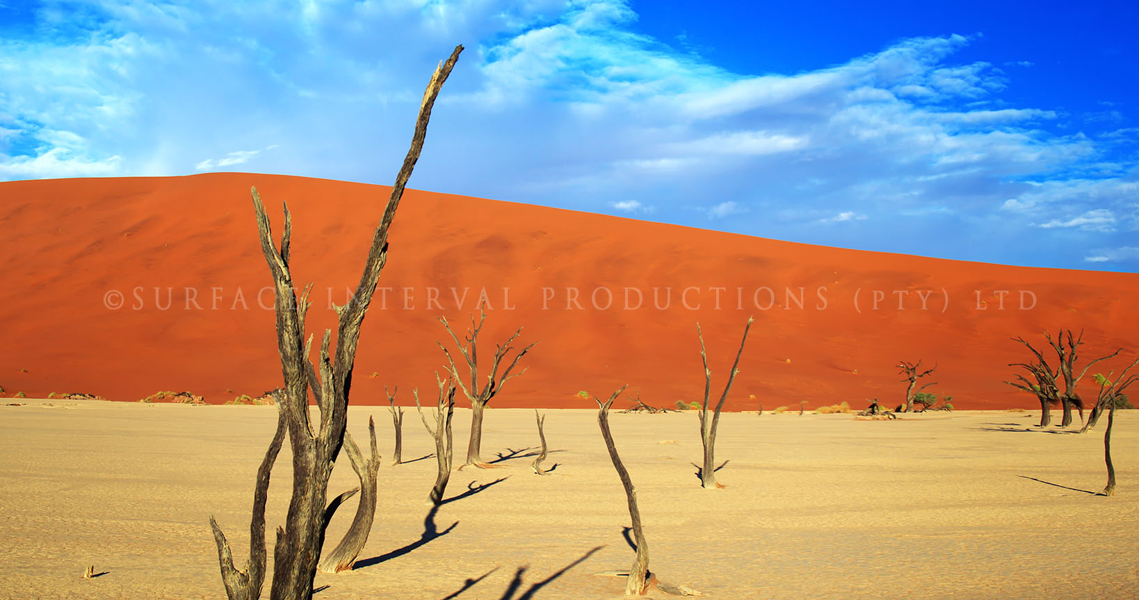 Namib Desert 18.jpg