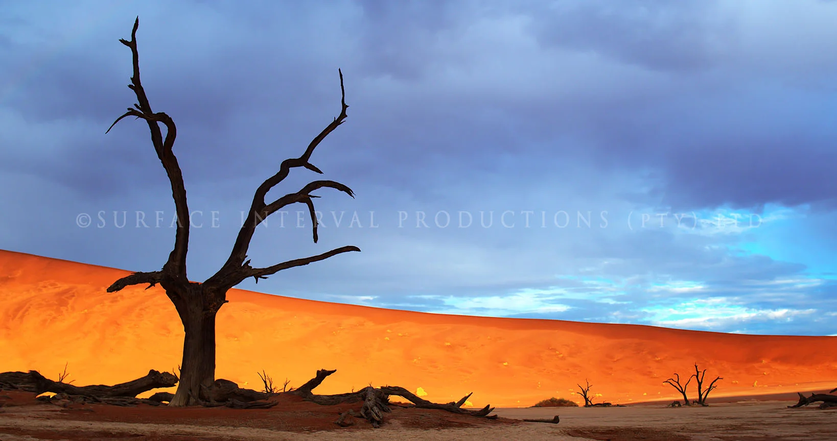 Namib Desert 20.jpg