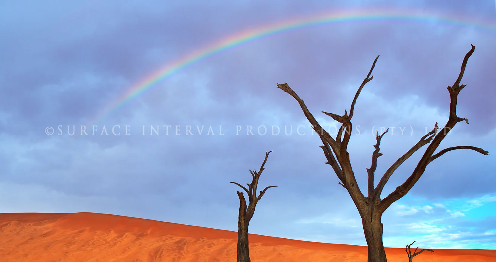 Namib Desert 21.jpg