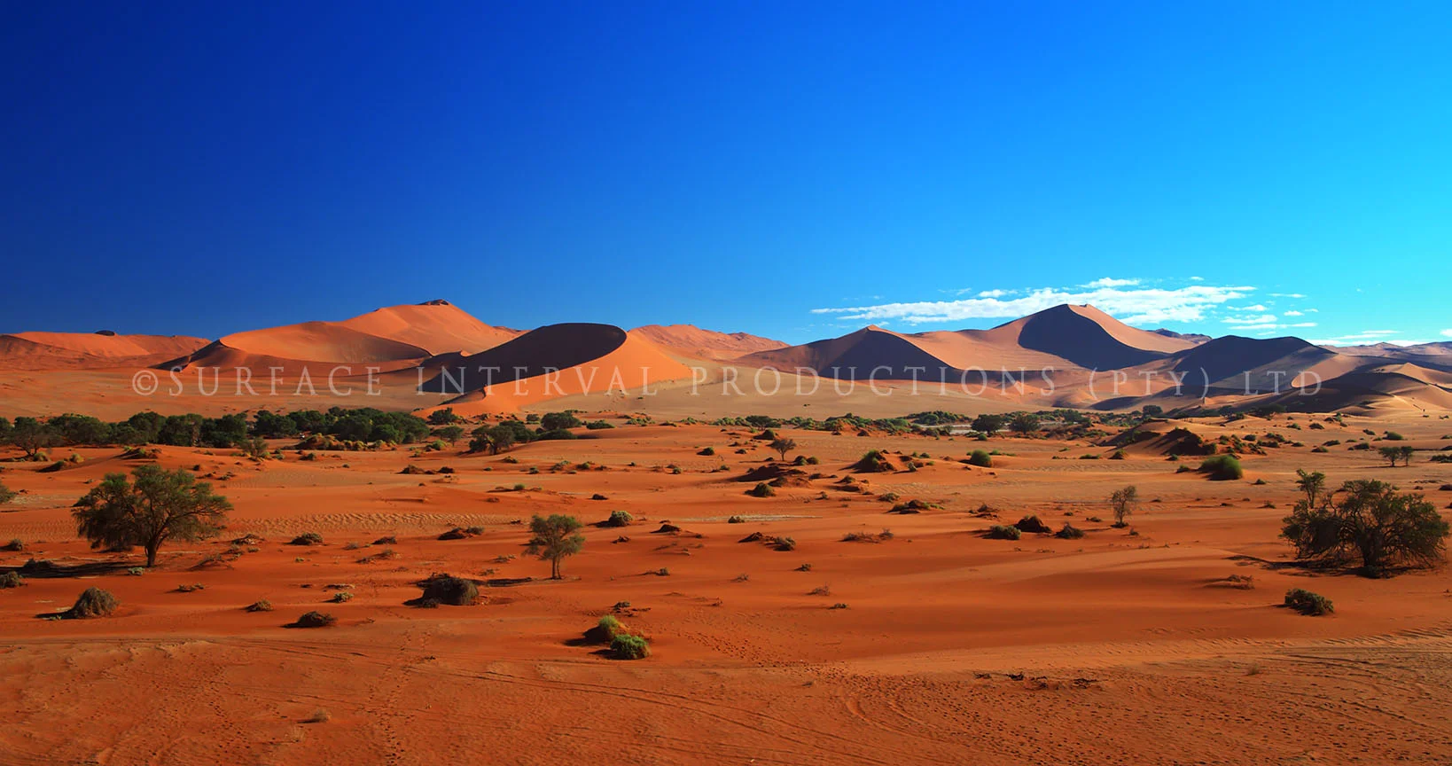 Namib Desert 24.jpg