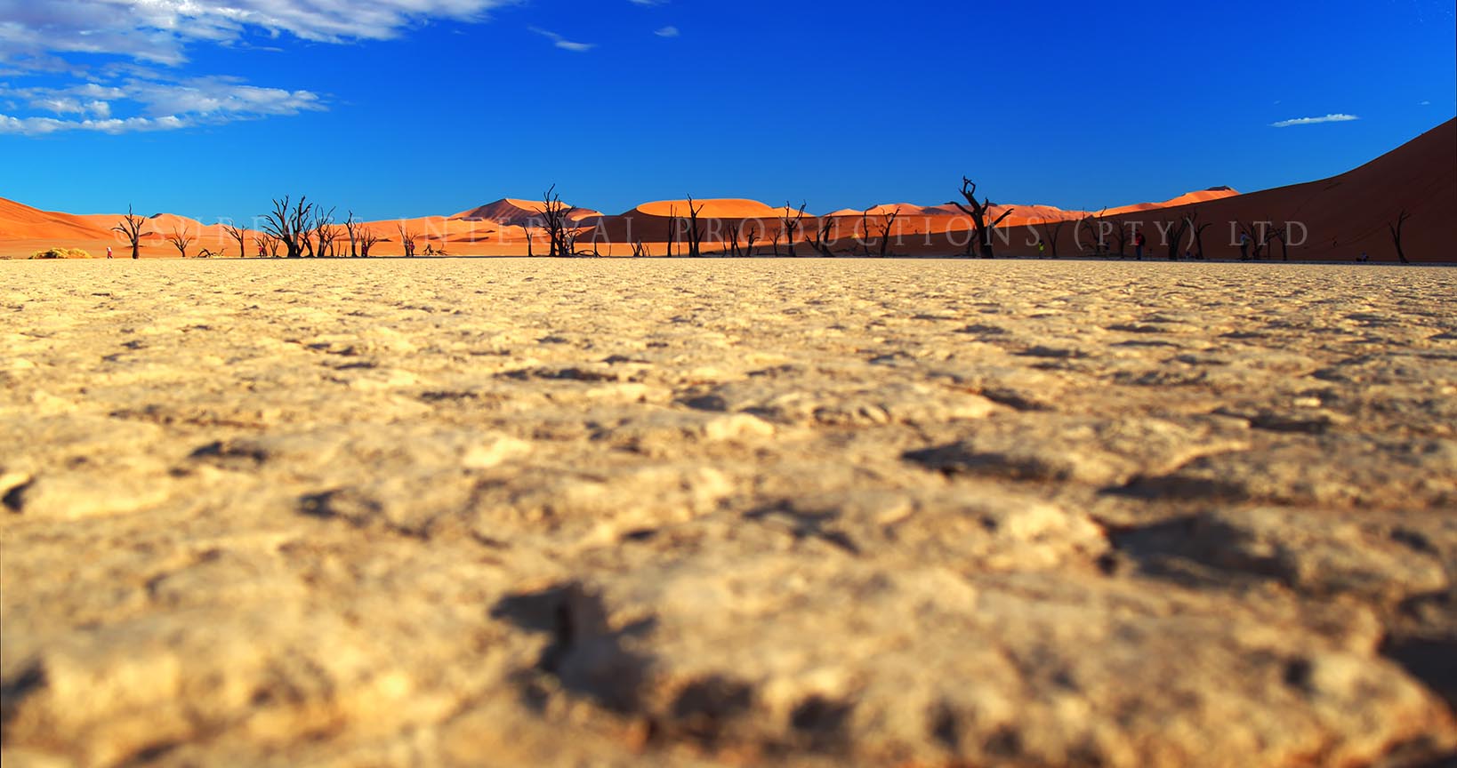 Namib Desert 223.jpg