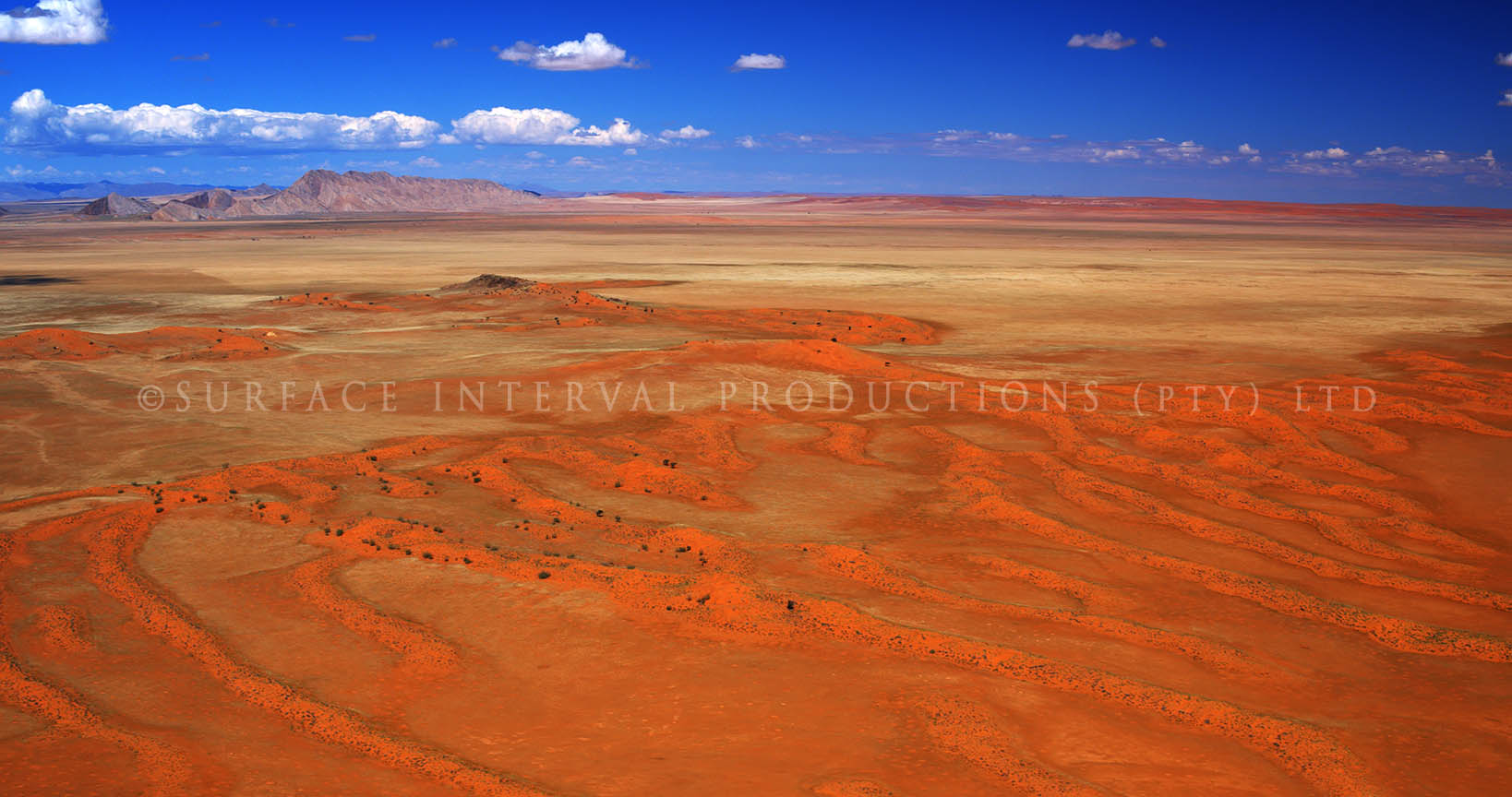 Namib Desert 28.jpg