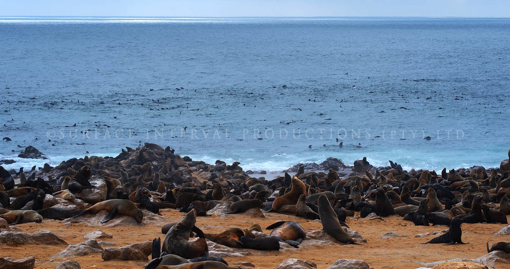 Skeliton Coast 09.jpg