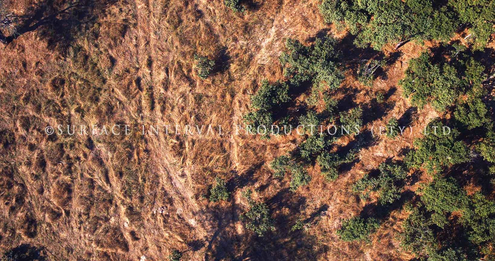 Drone 07.jpg