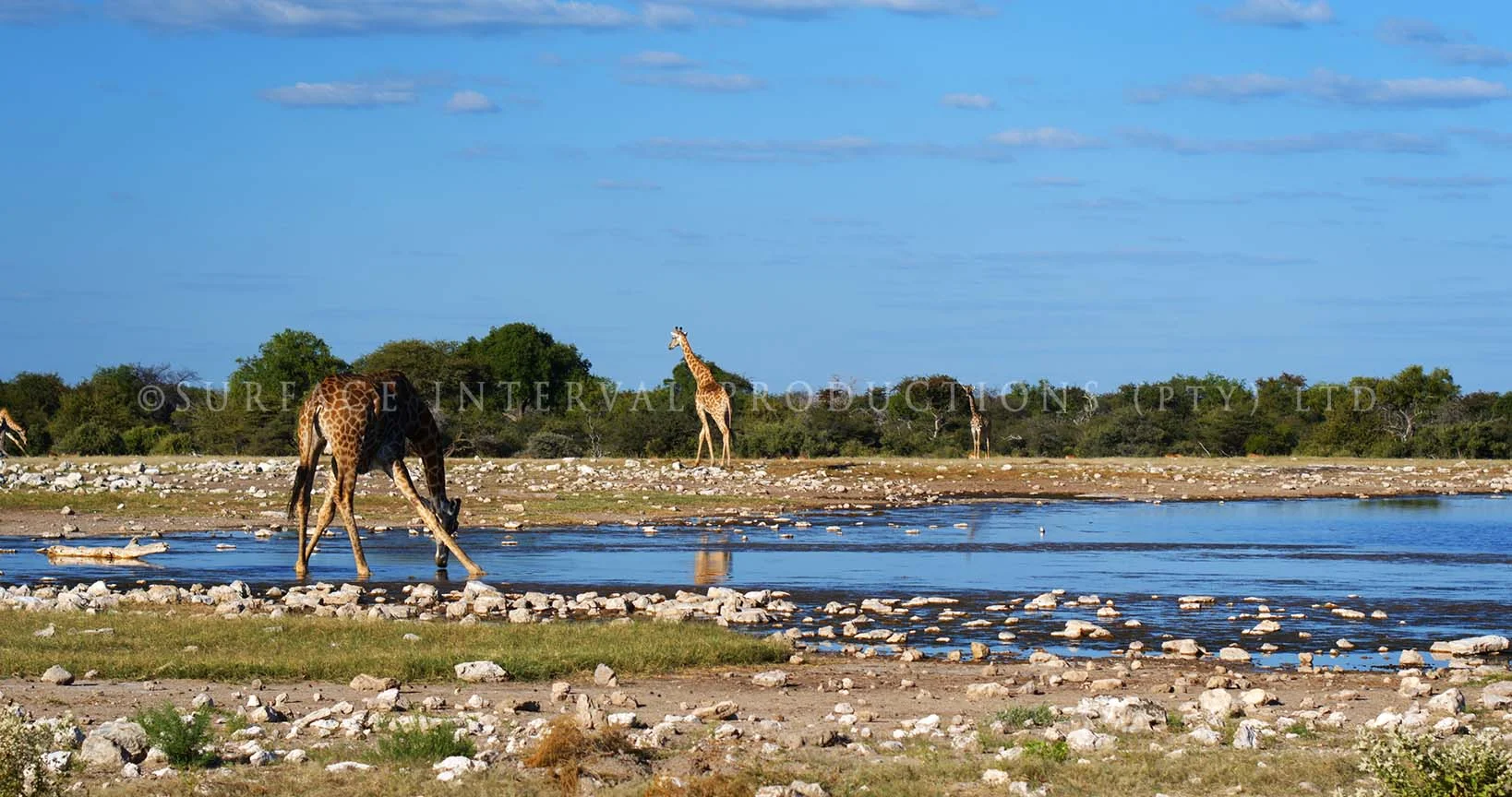 Etosha 02.jpg