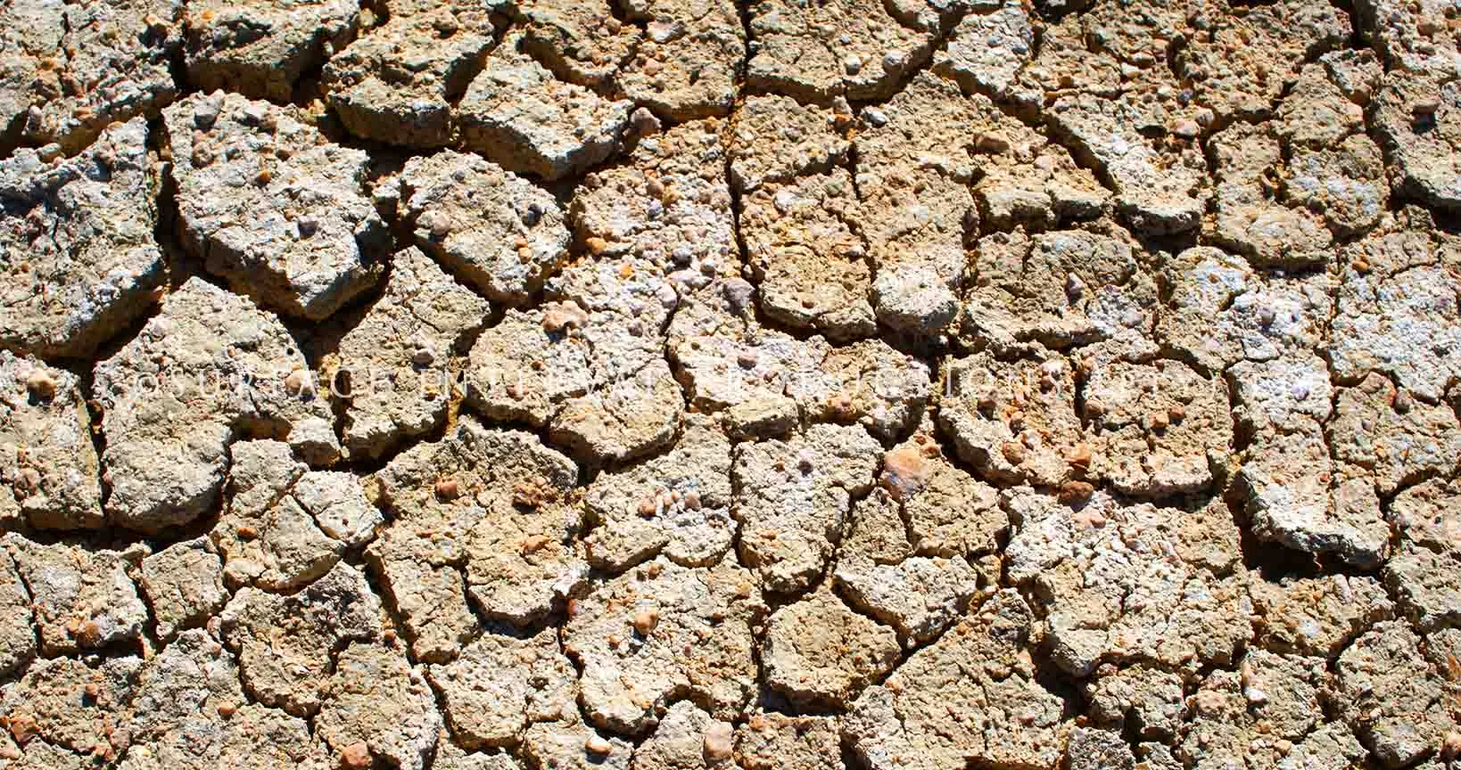 Etosha 03.jpg