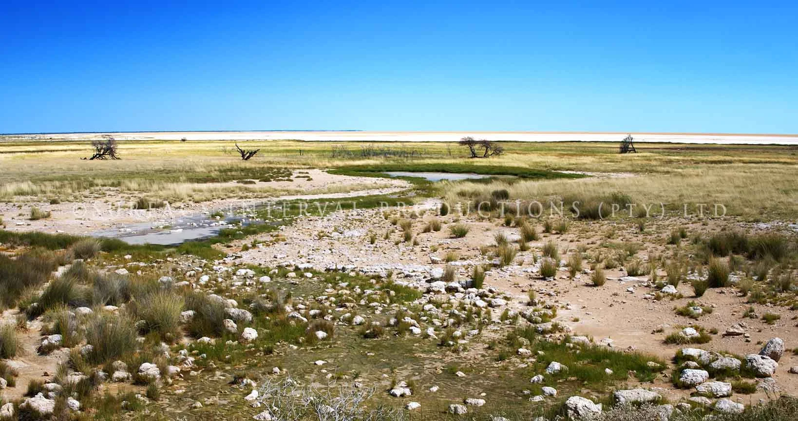 Etosha 05.jpg