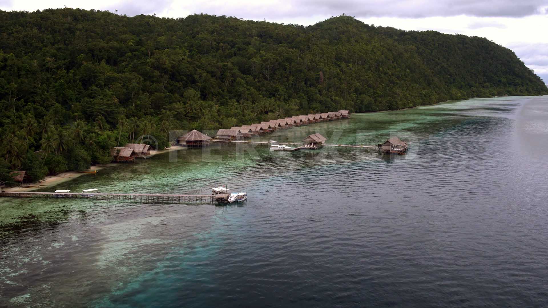Papua 02.jpg