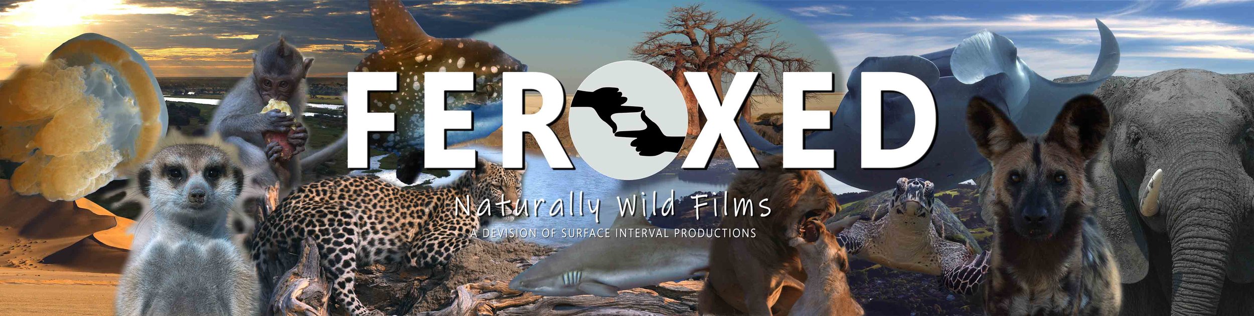 FEROXED - Naturally Wild Films BANNER VERY small.jpg
