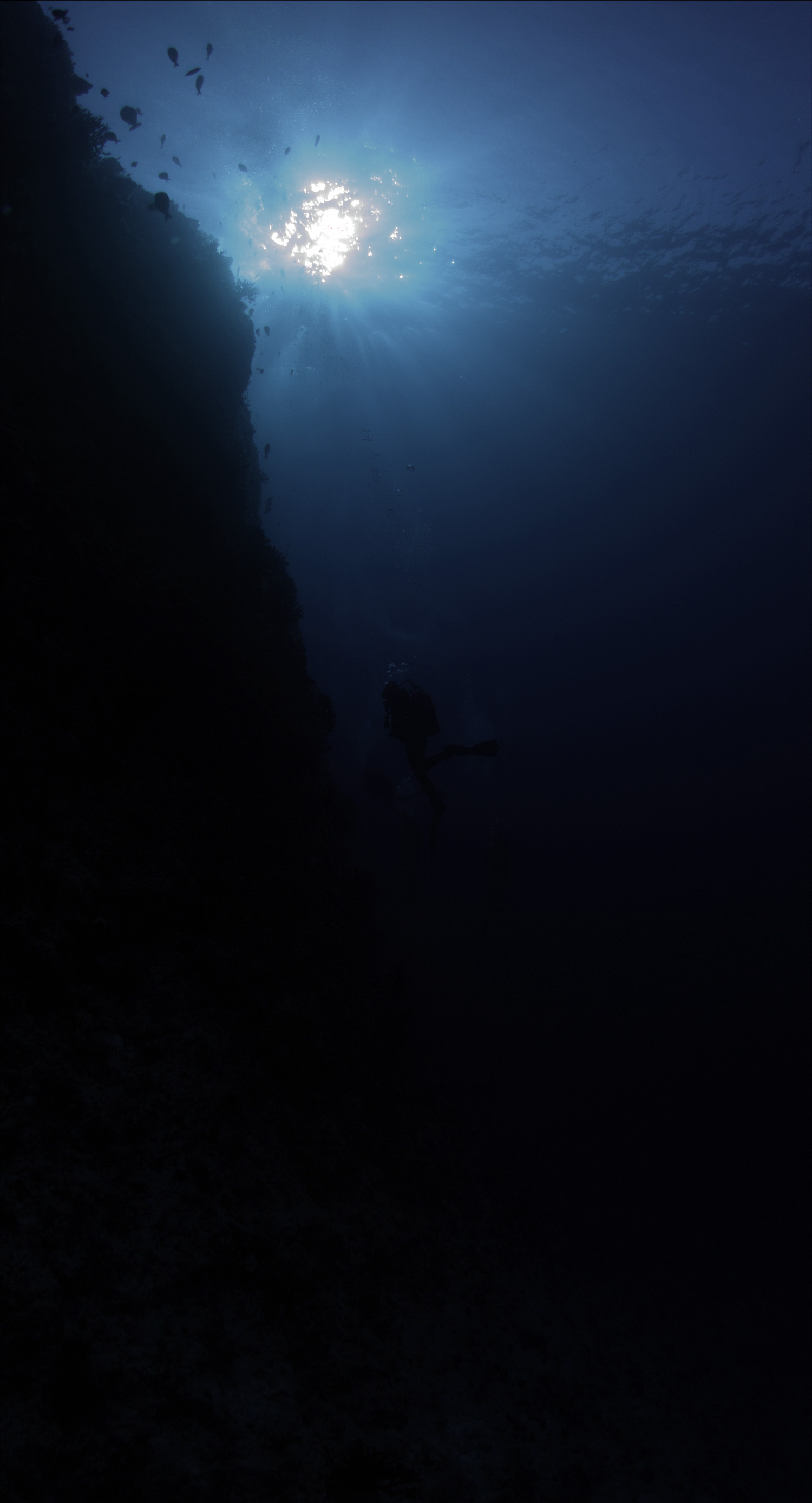 Vertical Backdrop 01.jpg