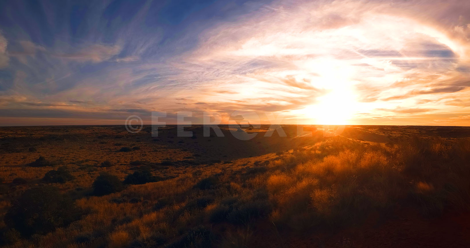 Landscape Kgahagadi 2018 b_1.559.1.jpg