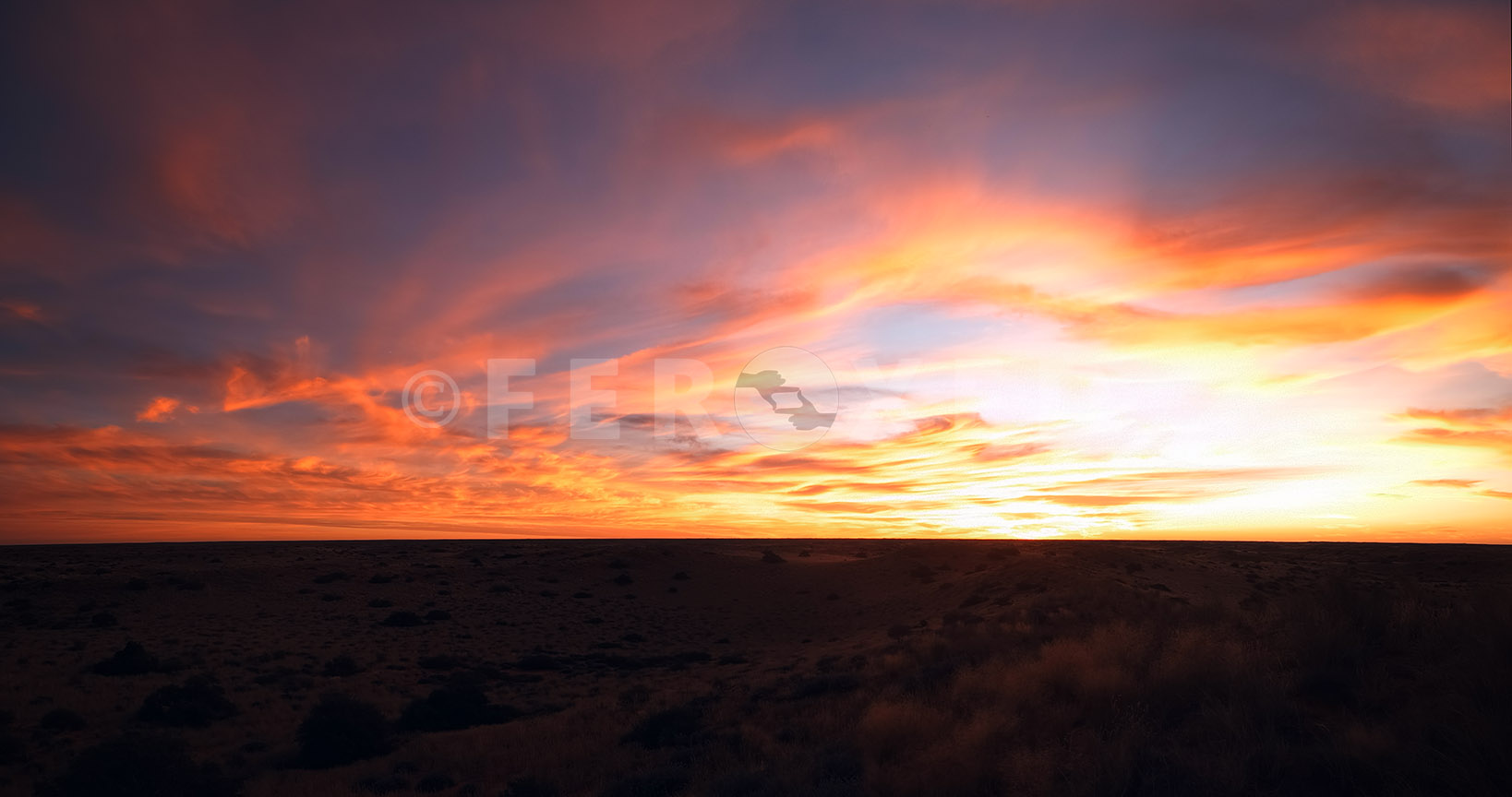 Landscape Kgahagadi 2018 b_1.559.3.jpg