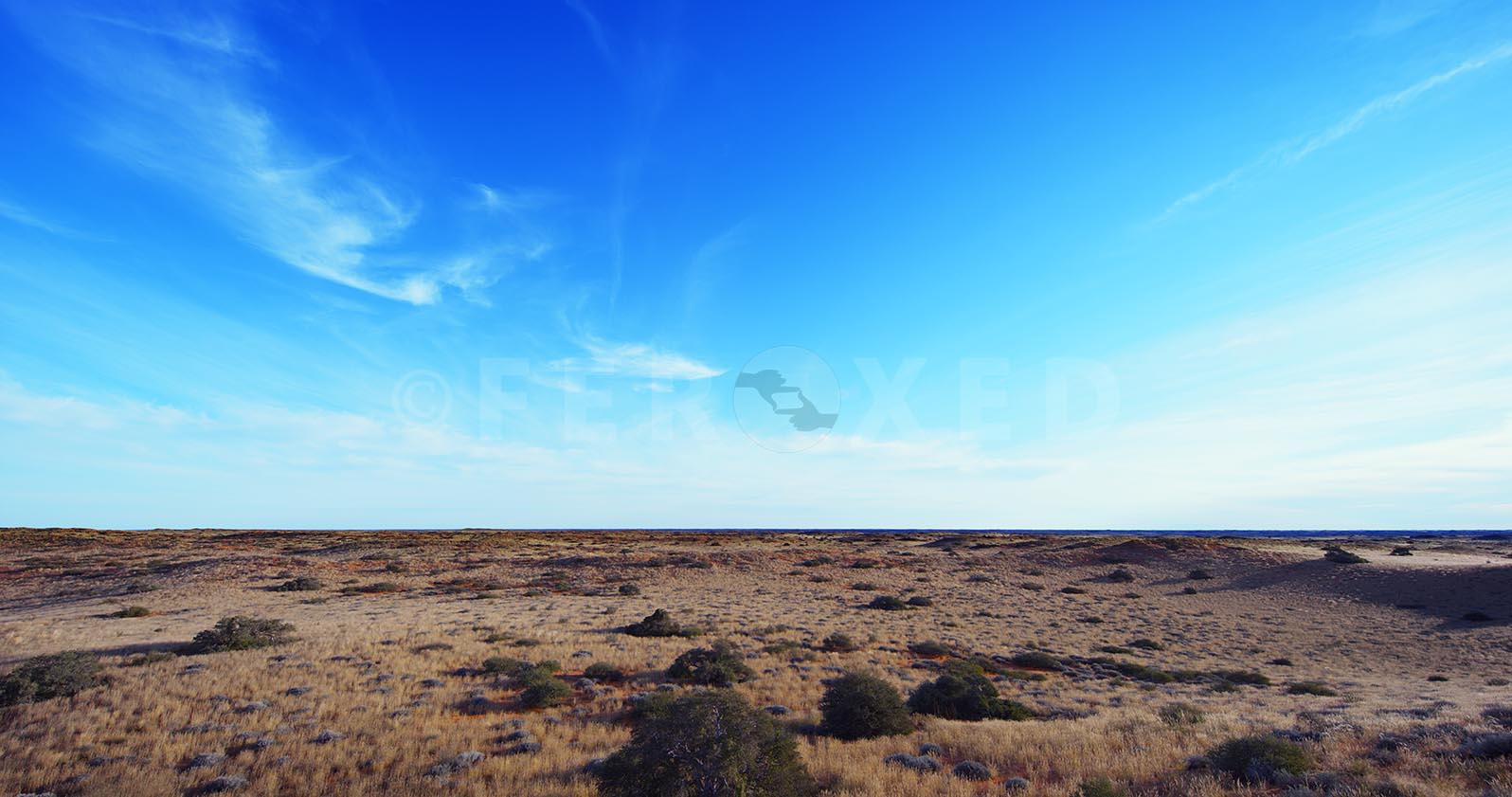 Landscape Kgahagadi 2018 b_1.287.1.jpg