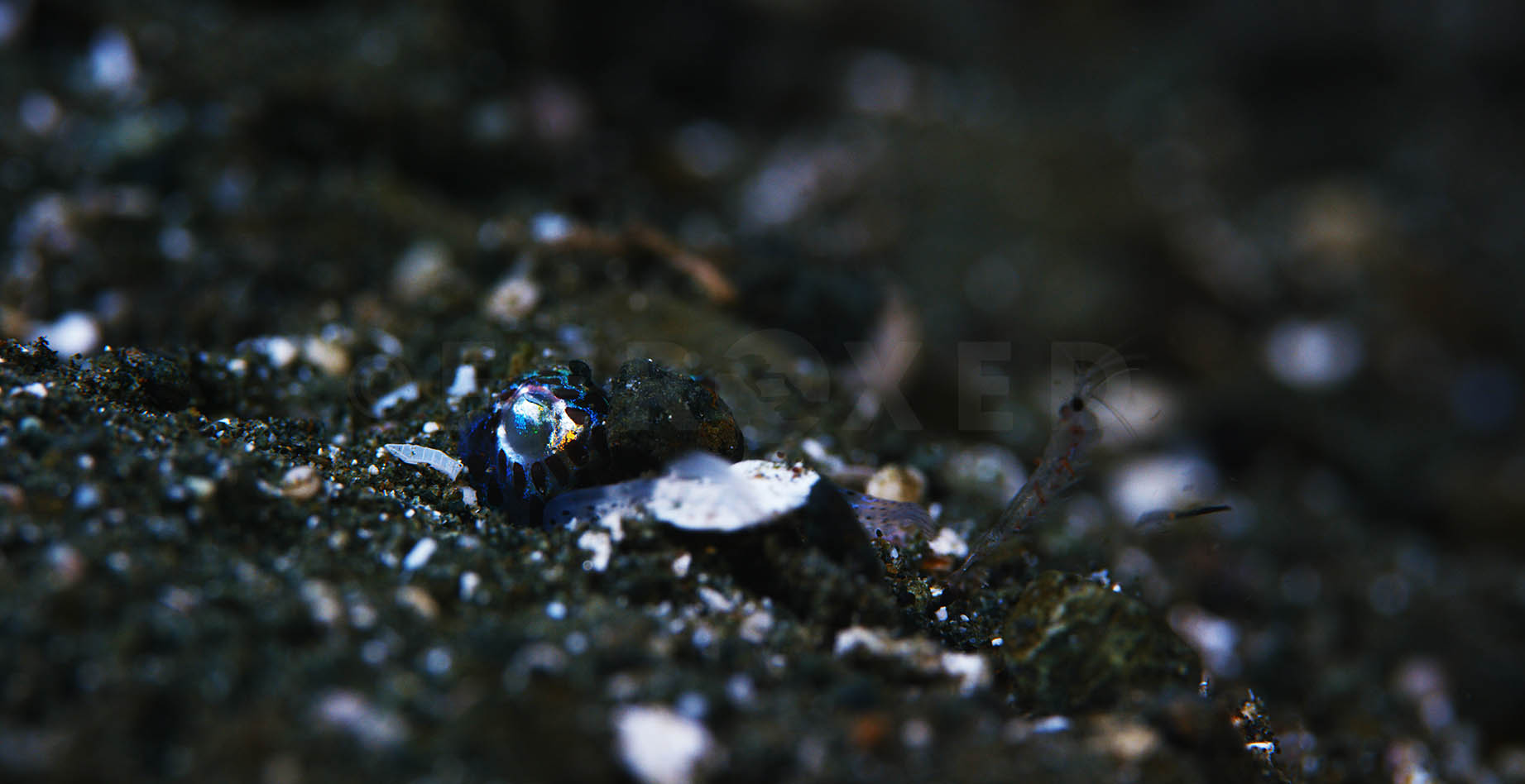 m6K_1.686.1.jpg