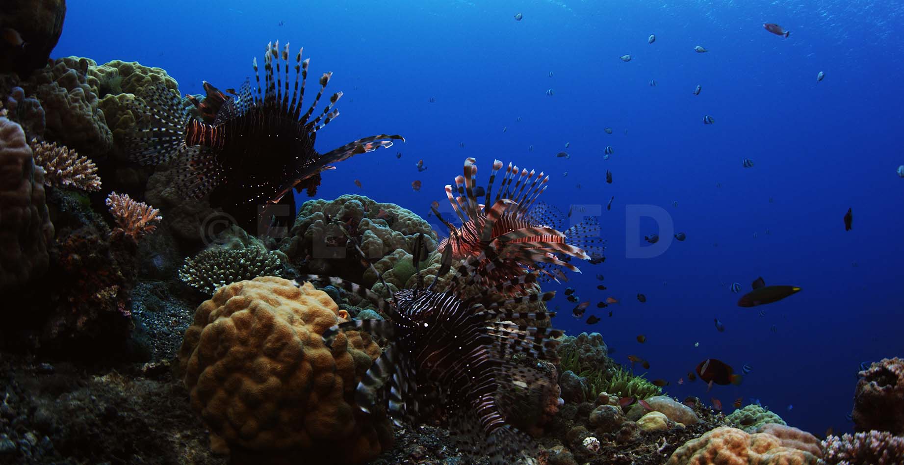 f6K_1.534.1.jpg