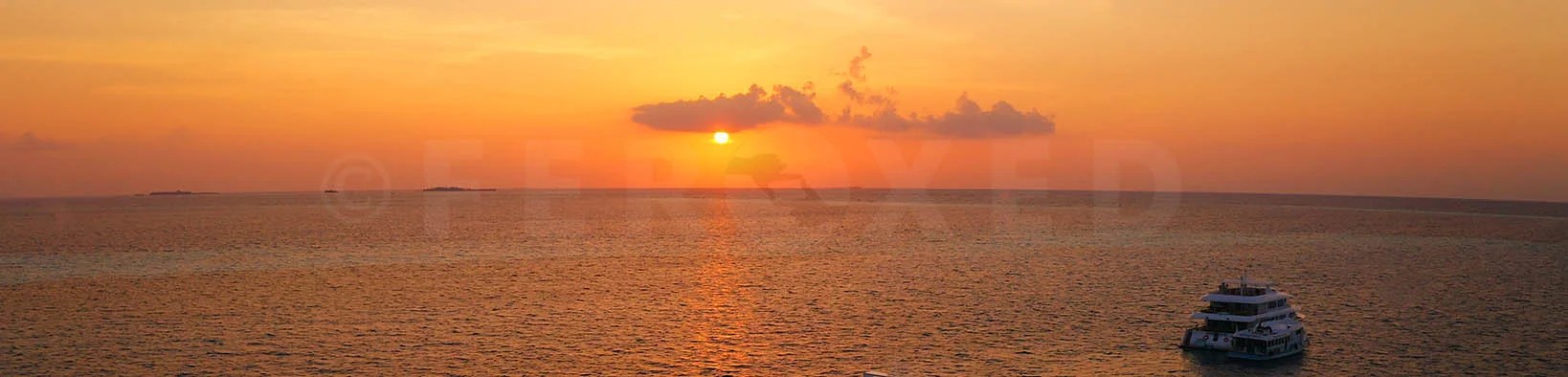 Banner 03.jpg