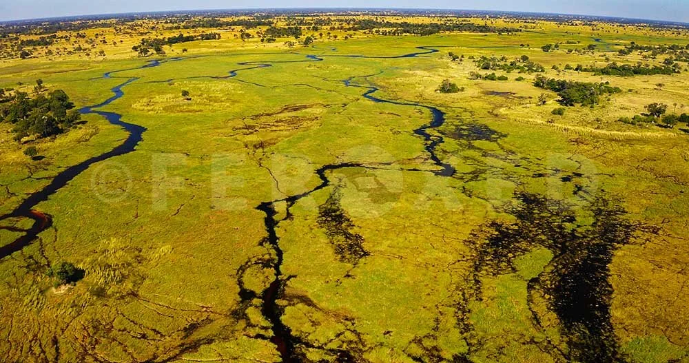 Botswana 2021_1.18.1s.jpg