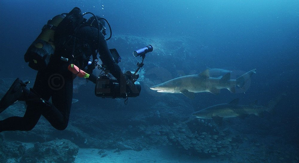 5 Barb's_1.2.1 Crop.jpg