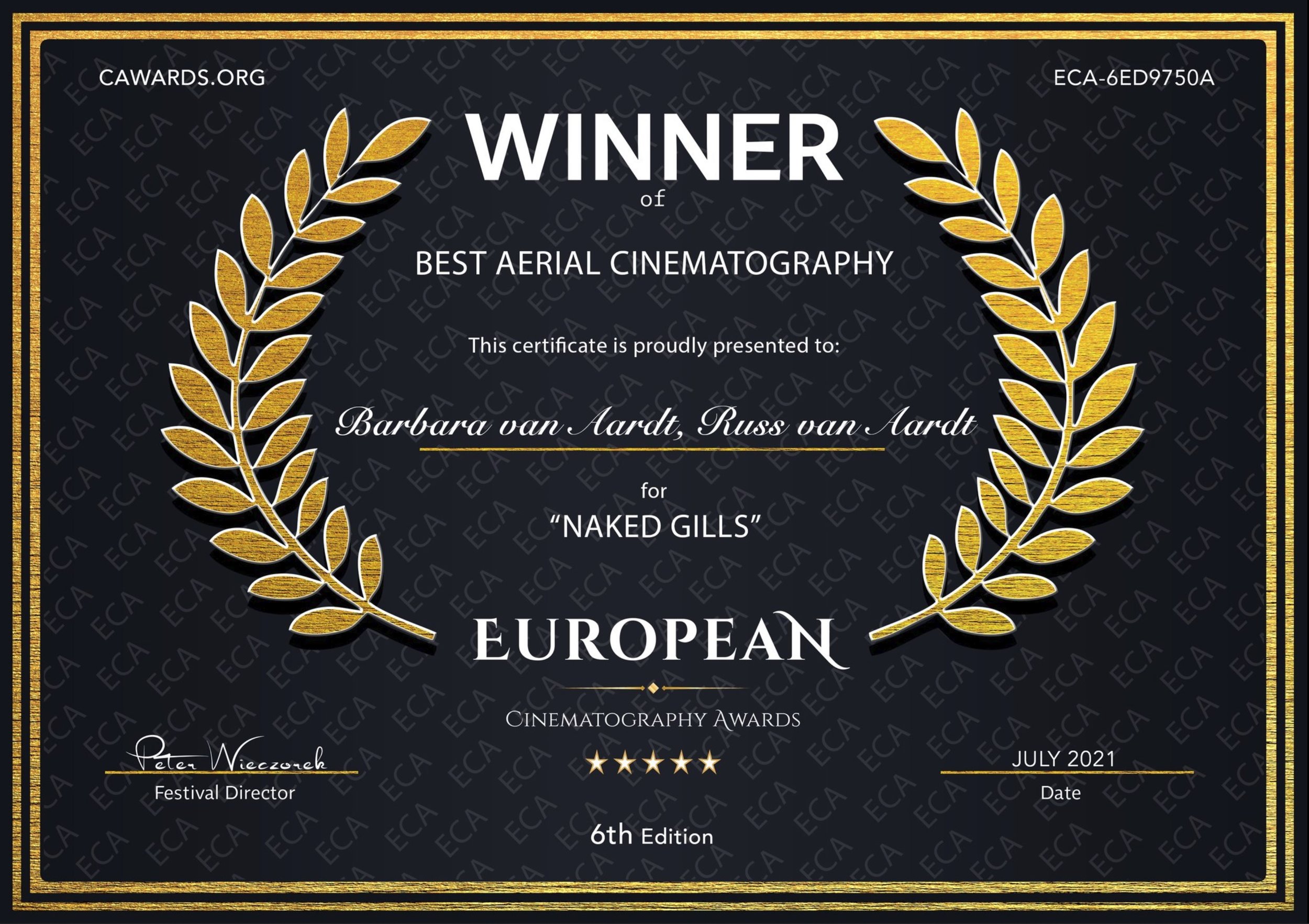 BEST AERIAL CINEMATOGRAPHY - European Cinematography AWARDS ECA - September 2022.jpg