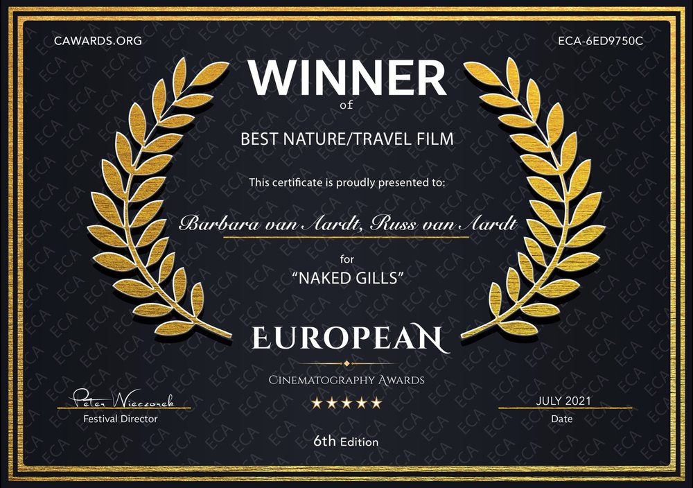 BEST NATURE-TRAVEL FILM - European Cinematography AWARDS ECA - September 2022.jpg
