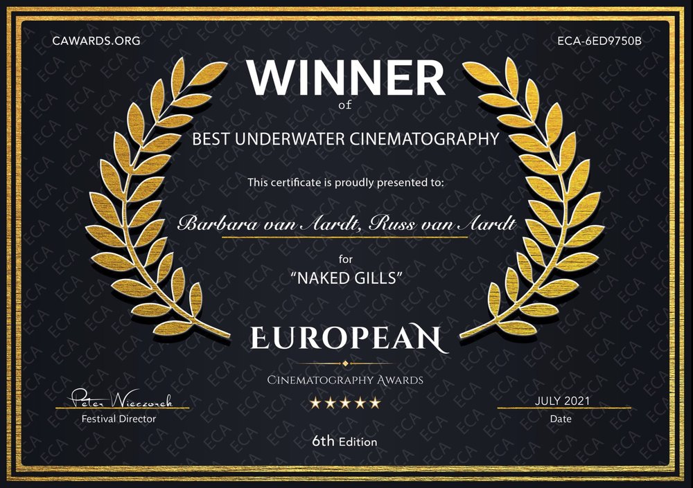 BEST UNDERWATER CINEMATOGRAPHY - European Cinematography AWARDS ECA - September 2022.jpg