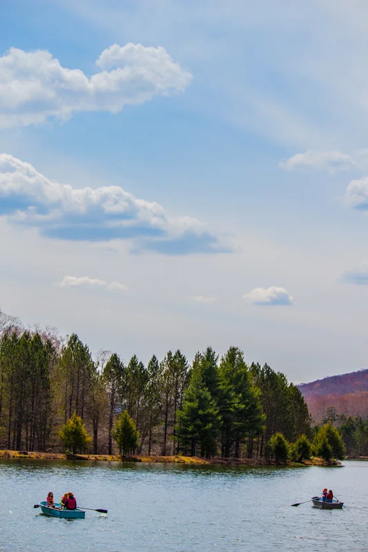 Frost Valley YMCA Healthy Kids Day-4.jpg