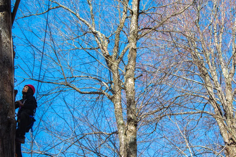 Frost Valley YMCA School Group LOF-4.jpg