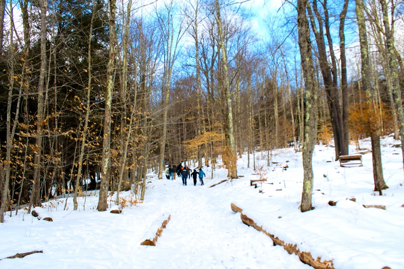 Frost Valley YMCA School Snow Cable Bridge Hike-14.jpg