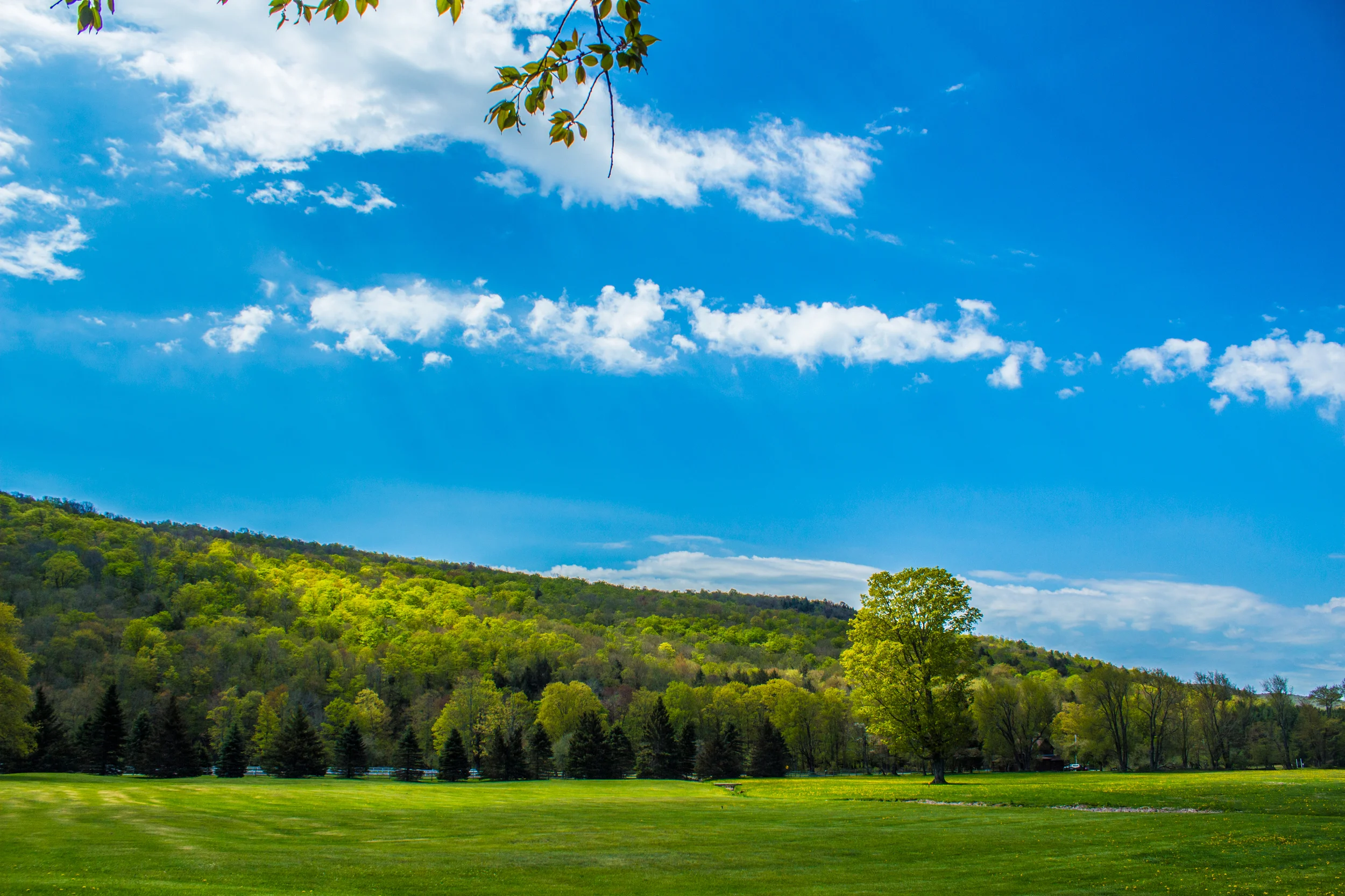 Frost Valley YMCA Scenic-11.jpg