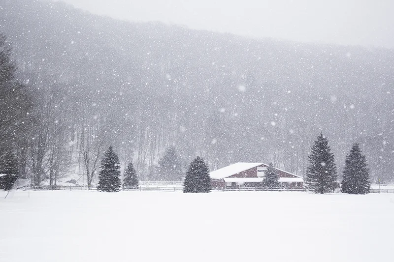 Frost Valley YMCA Snow Horse Barn 01.jpg