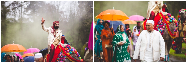 Weddings With A Camel