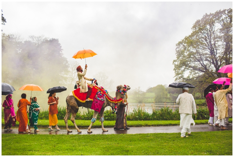 Weddings With A Camel