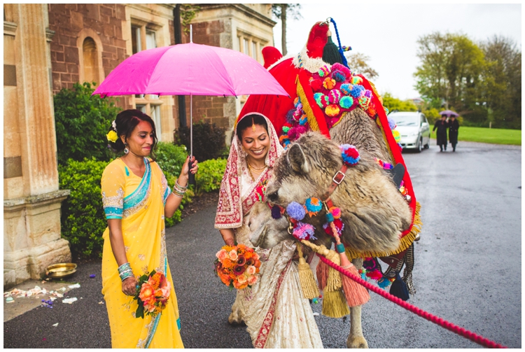 Weddings With A Camel