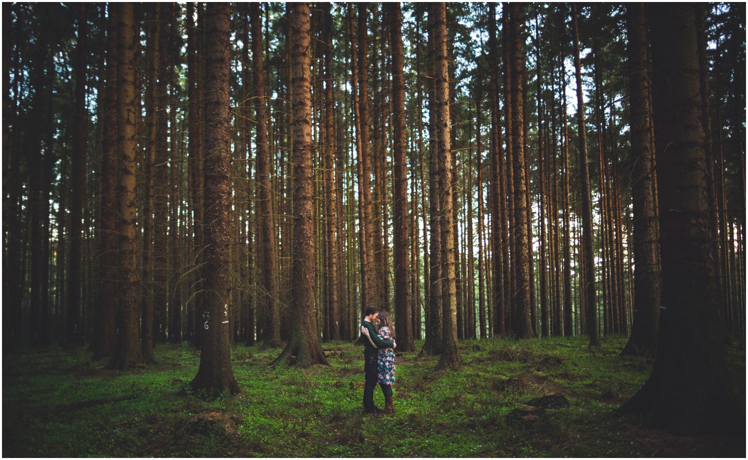 Dalby Forest Engagement Photography_0028.jpg