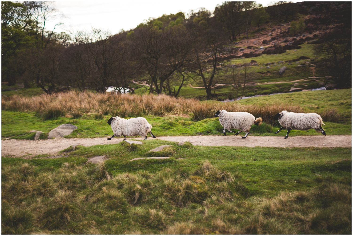 Maynard Arms Peak District Wedding_0161.jpg