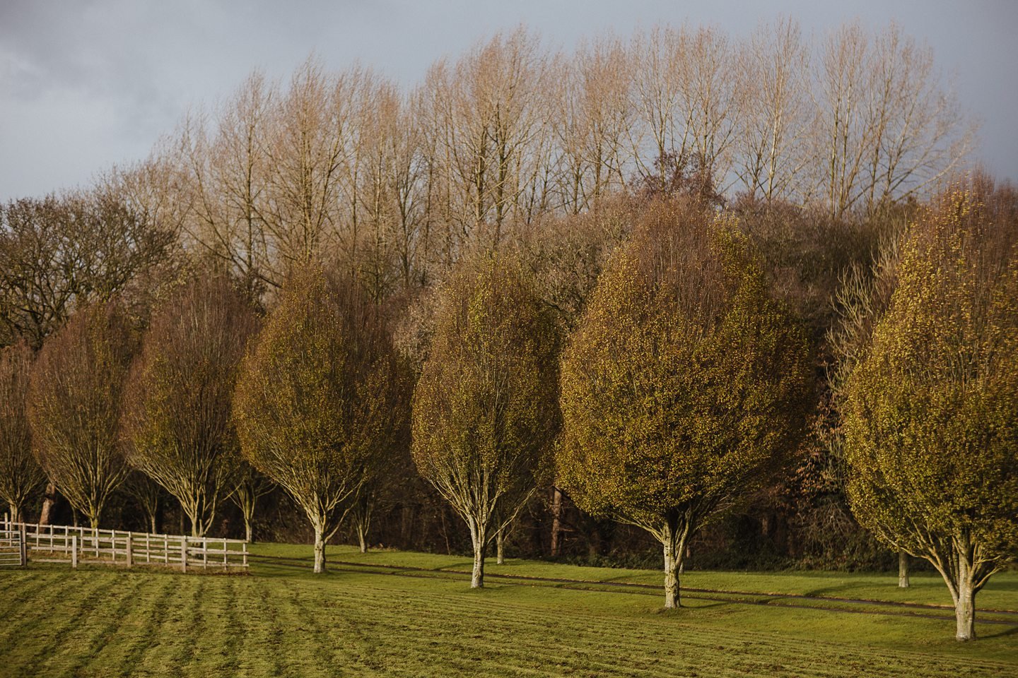 A Cheshire Winter Wedding At The Holford Estate In Knutsford002.jpg