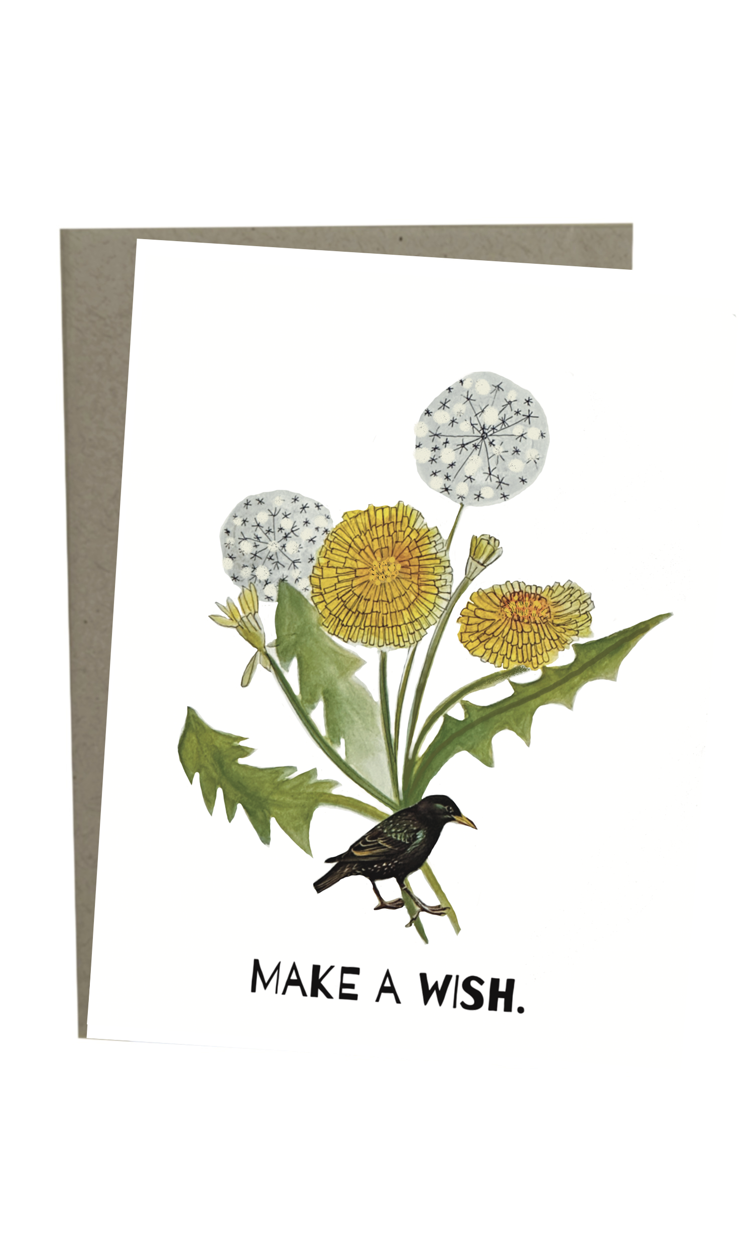 Greeting Card: Make a wish