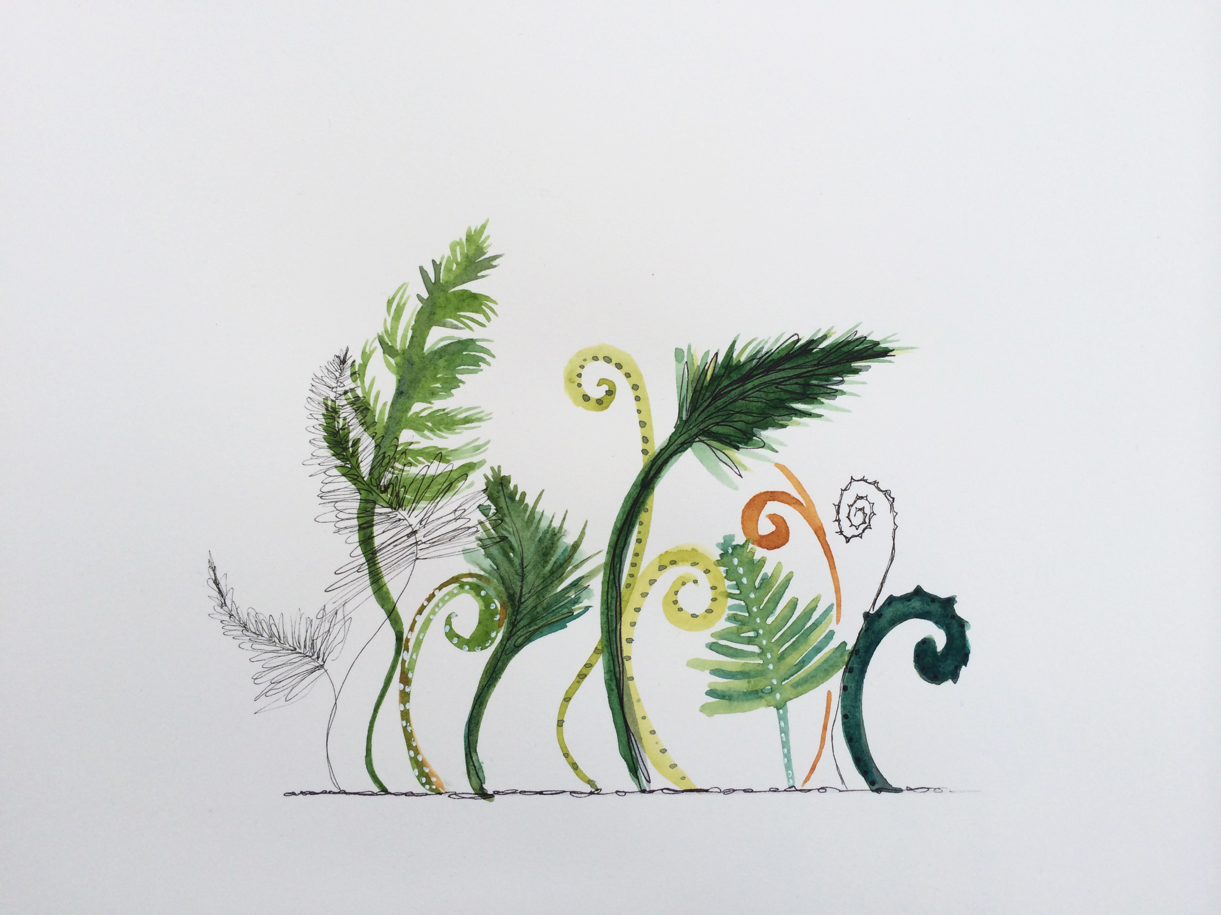 fern forrest