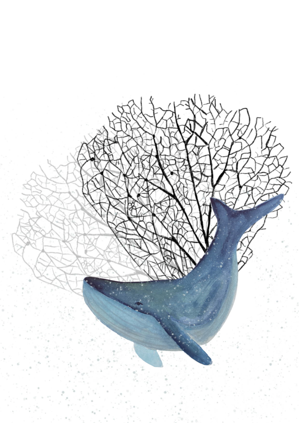 Whale