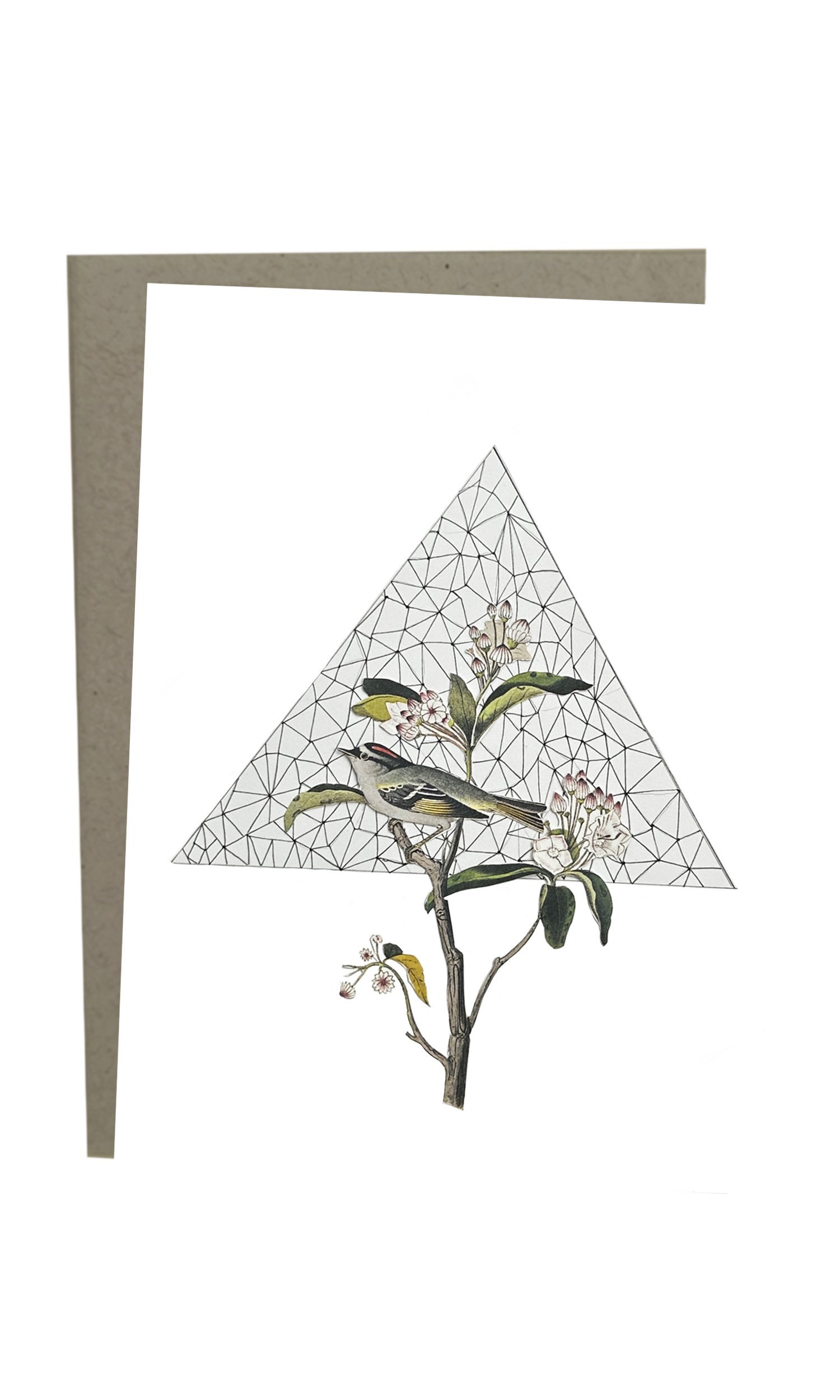 Greeting Card: Center