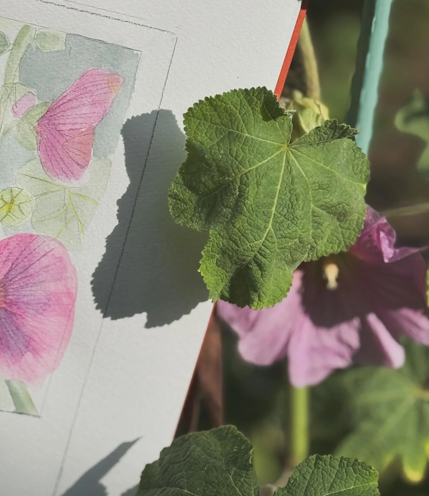 Loving all these summer blooms in my garden and love sketching and painting them. ( and getting ready to see Hilma af Klints watercolor flowers at @themuseumofmodernart soon 😊)

#summerflowers #watercolor #artist #july #flowers