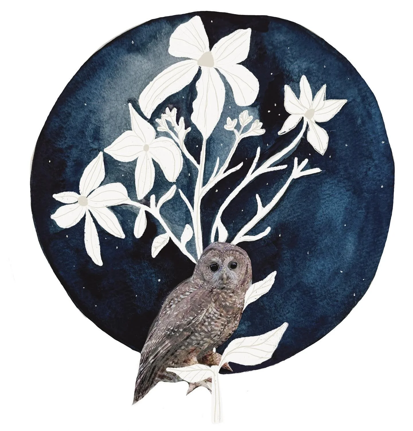 A poem in blue. 
And some snippets from last week:

 -full moon musings
-gorgeous moon over nantasket beach
-watercolor sketches
-blue pea flower tea
- instead of scrolling 
-maine coast
- a beautiful piece by Jennifer Judd - McGee @swallowfield who 