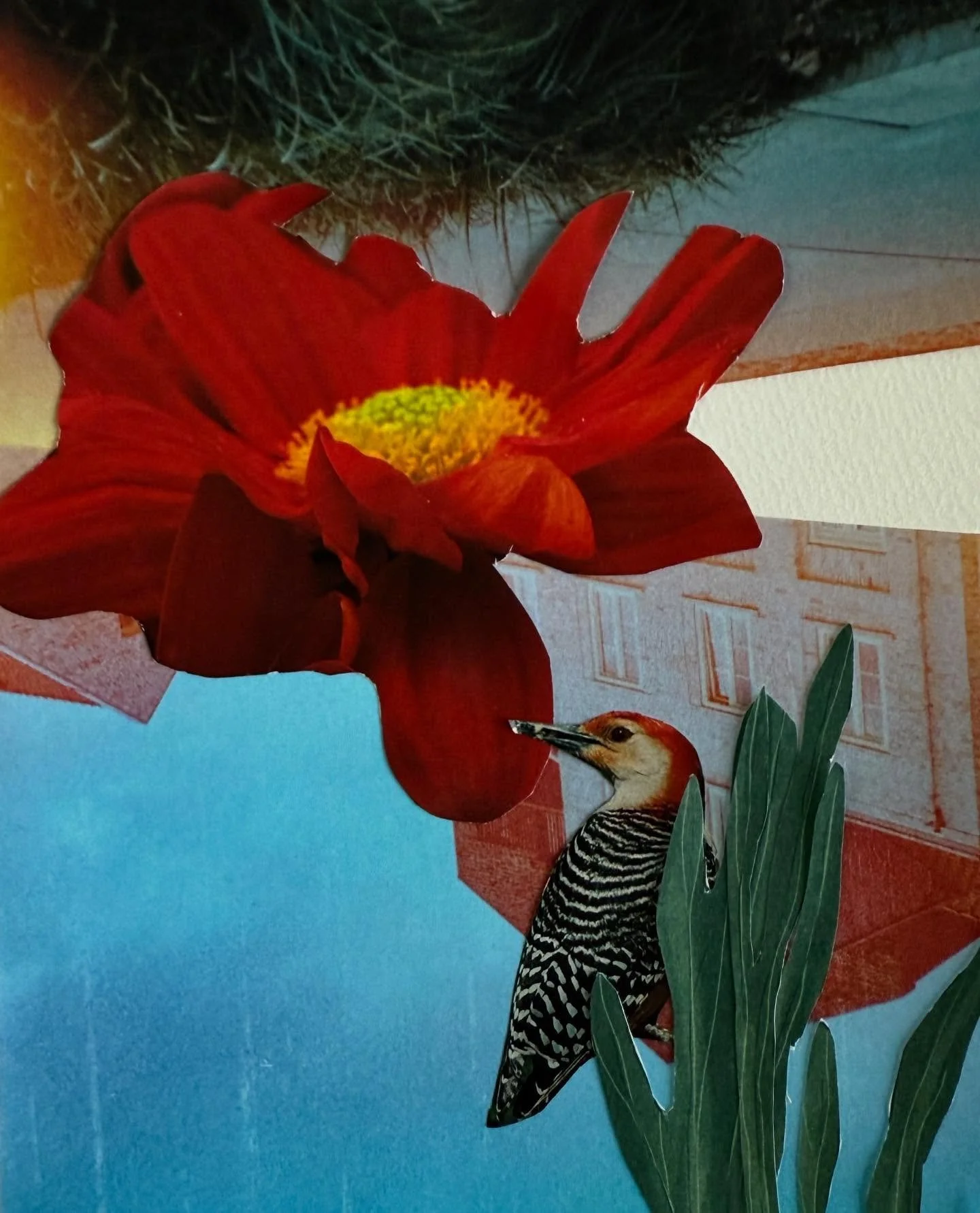 Just in time for this week&lsquo;s @pariscollagecollective prompt. Slide left to see the original photo by Chris Weiher. 
#pariscollageclub 
#collage 
#collagecommunity