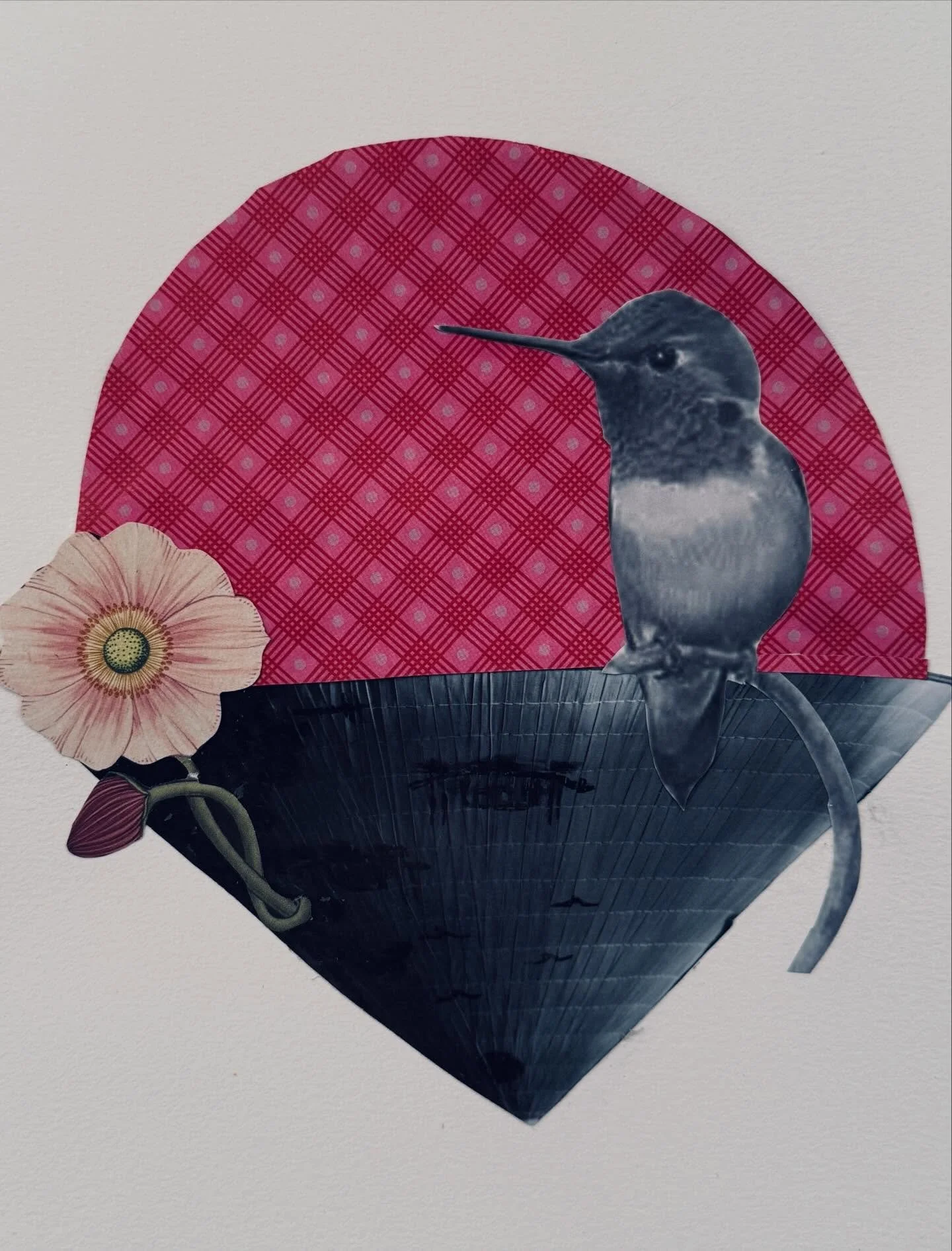 Tiny sightings of spring in New England.

Prompt inspiro by @pariscollagecollective 
#pariscollageclub