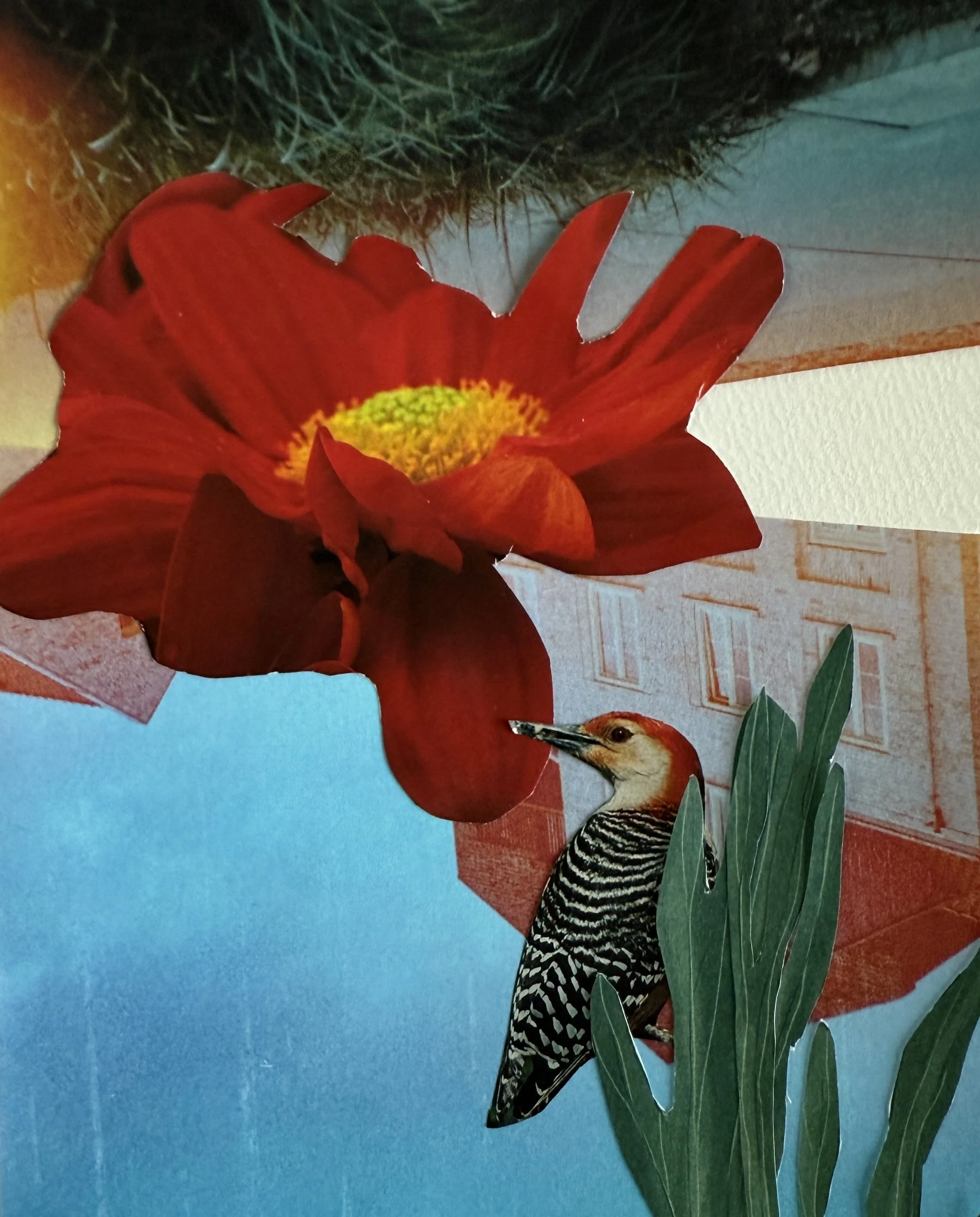 Upside Down,
 
Collage, 2026